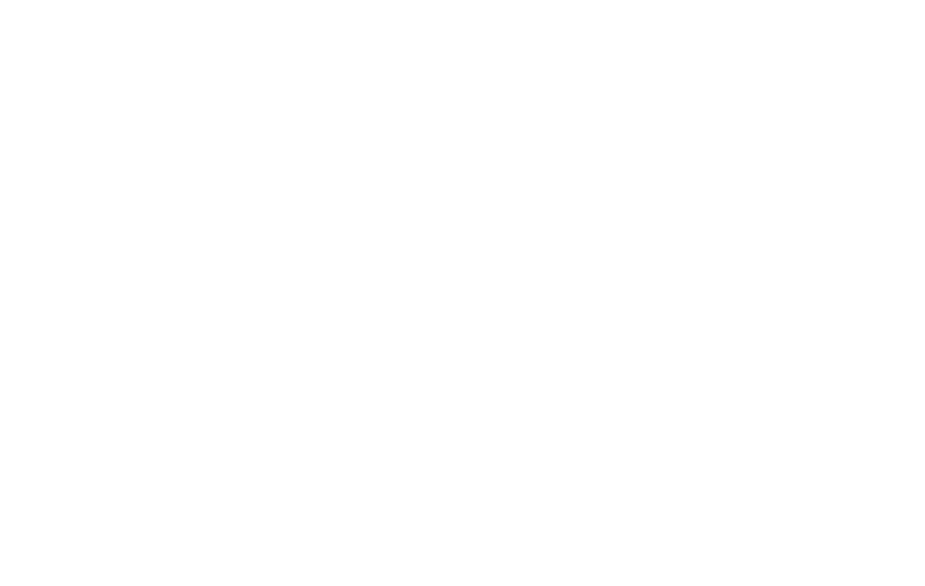 Caritas logo blanco